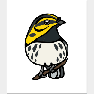 Black Throated Green Warbler Graphic Posters and Art